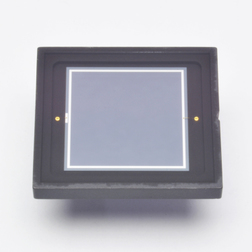 (image for) hamamatsu Si photodiode S1227-1010BR